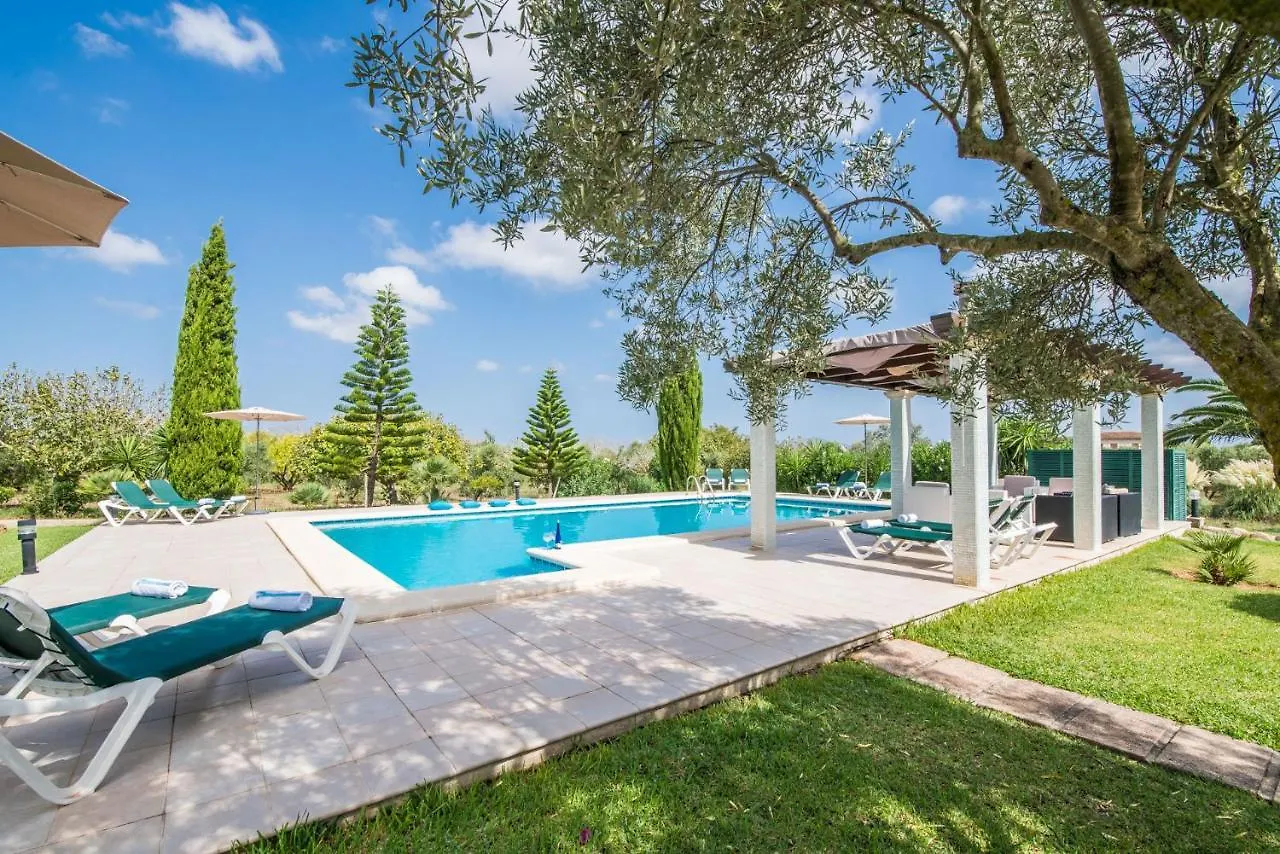 Ideal Property Mallorca - Siona ポルト・ダルクディア 0*,  スペイン